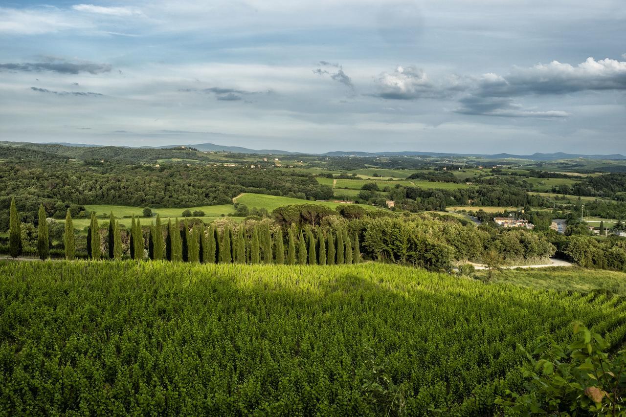 Vila Borgo Argiano Castelnuovo Berardenga Exteriér fotografie